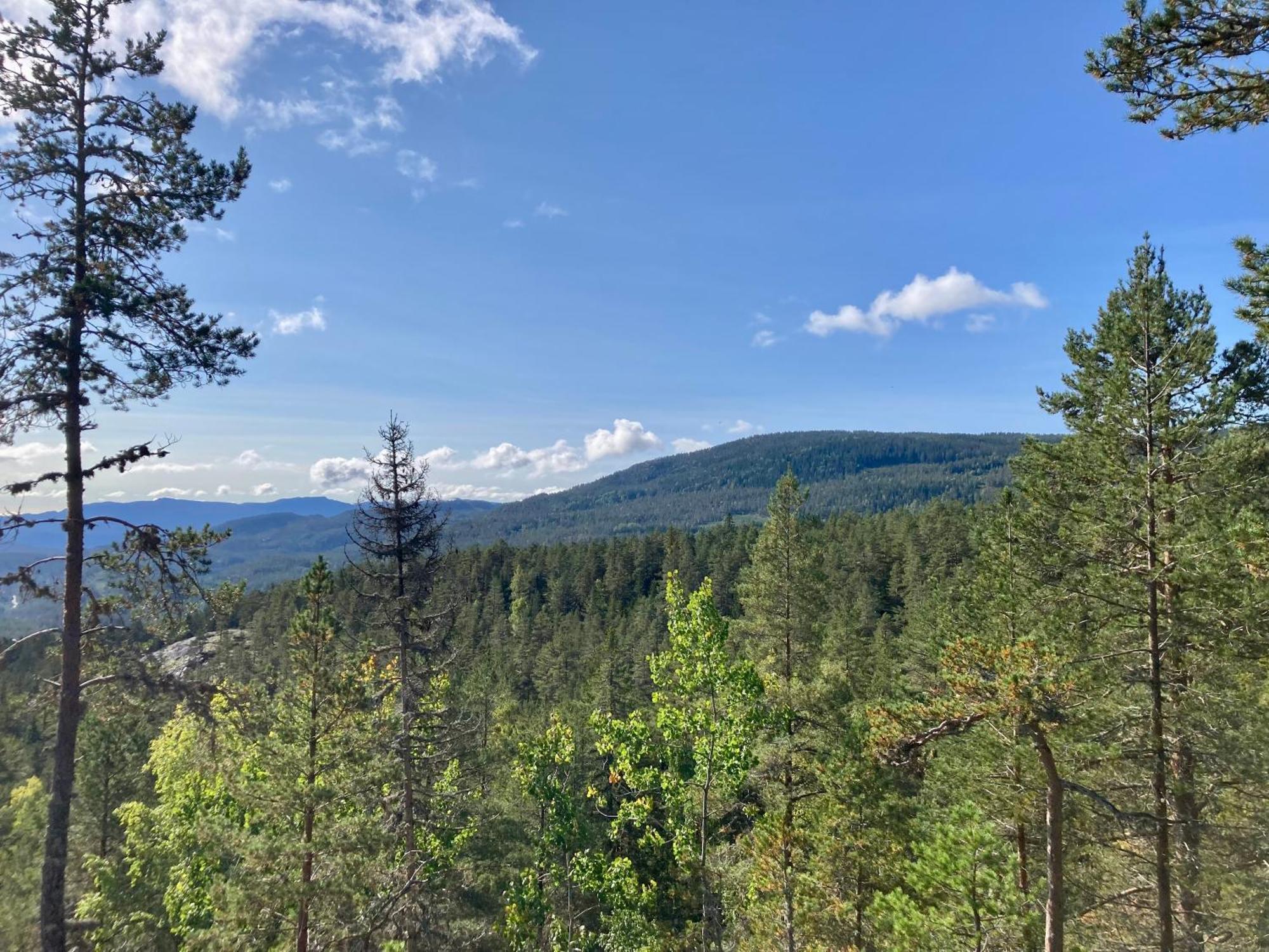 Friheten! Notodden Exteriör bild