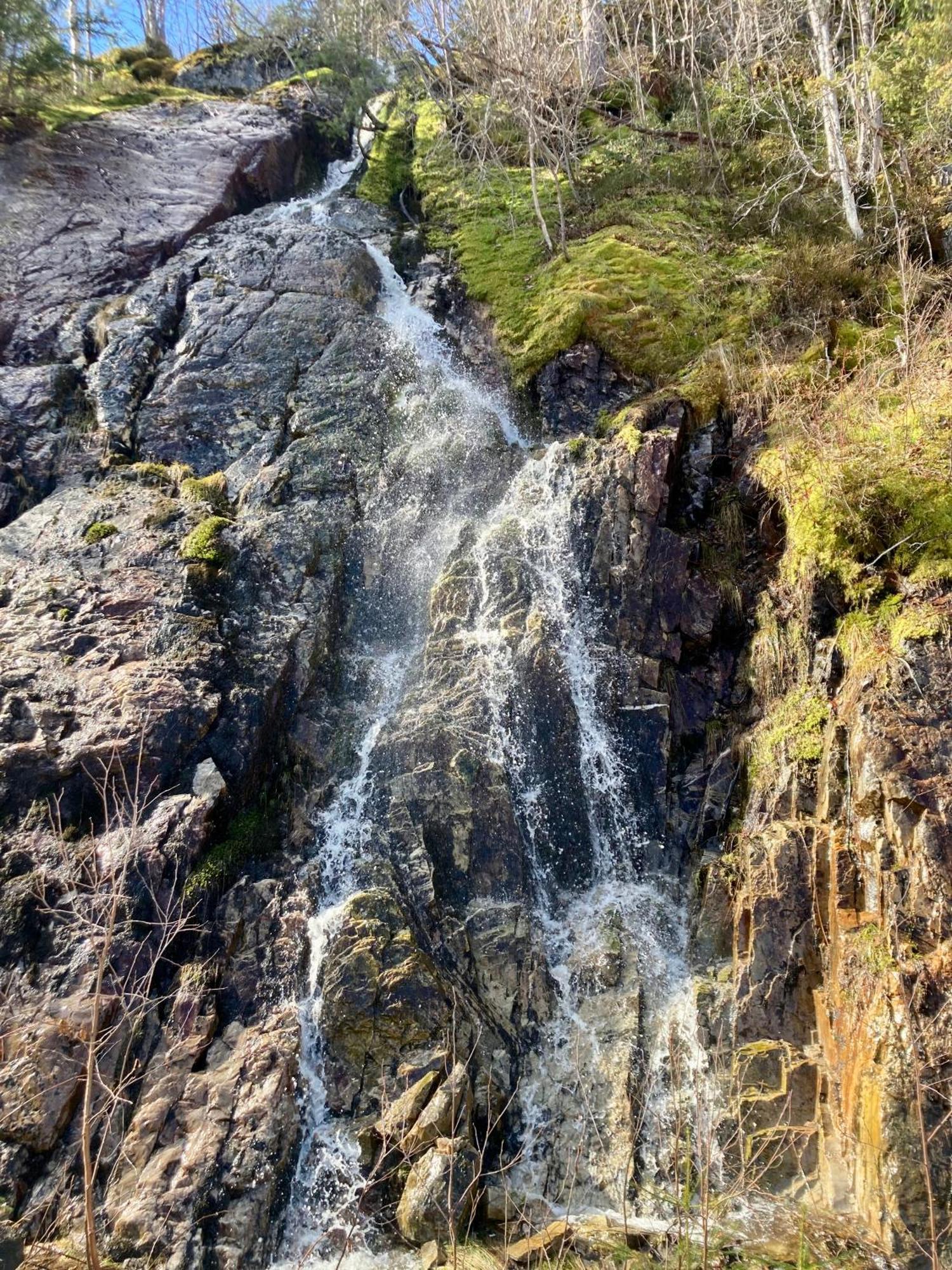 Friheten! Notodden Exteriör bild