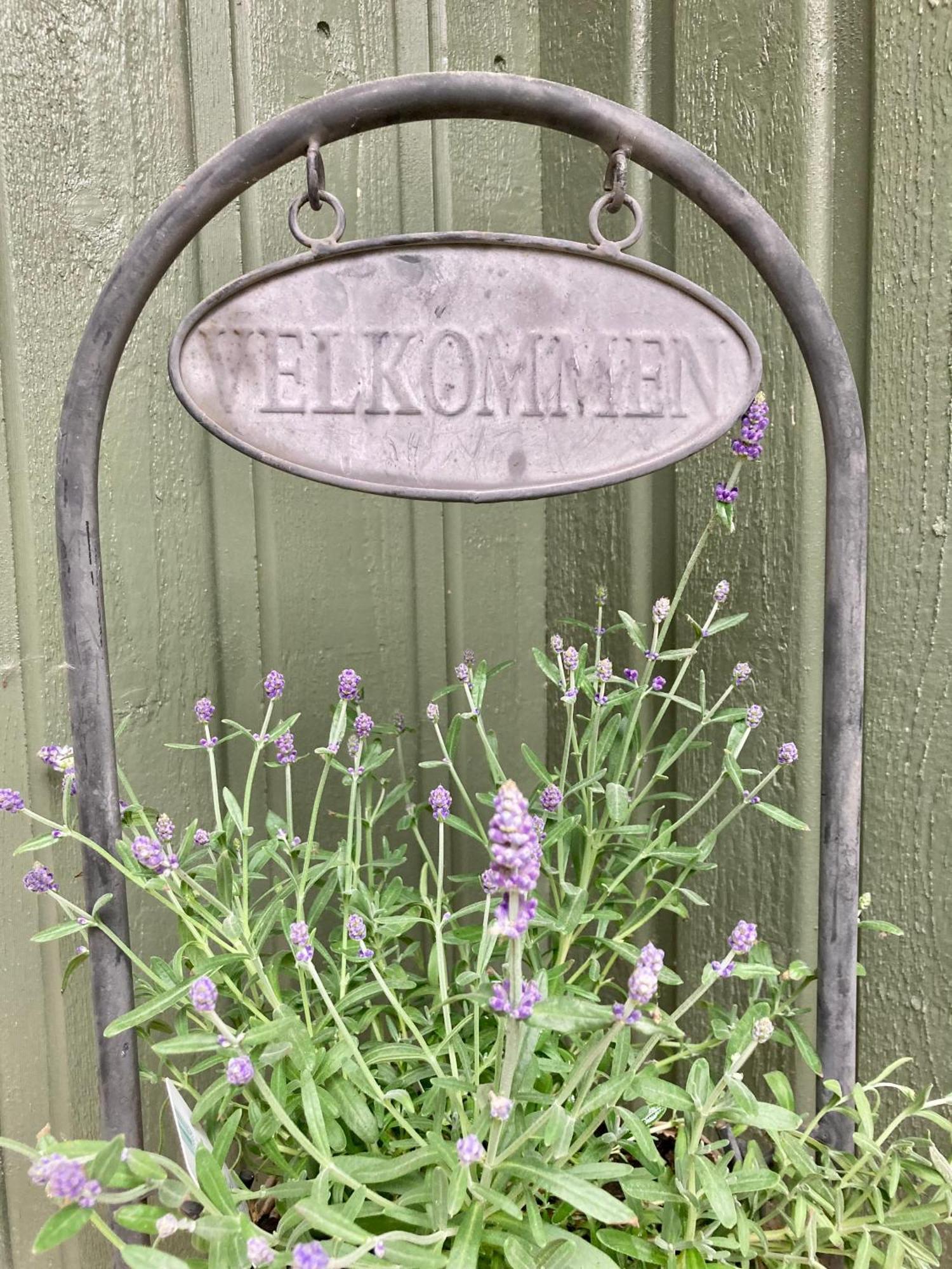 Friheten! Notodden Exteriör bild